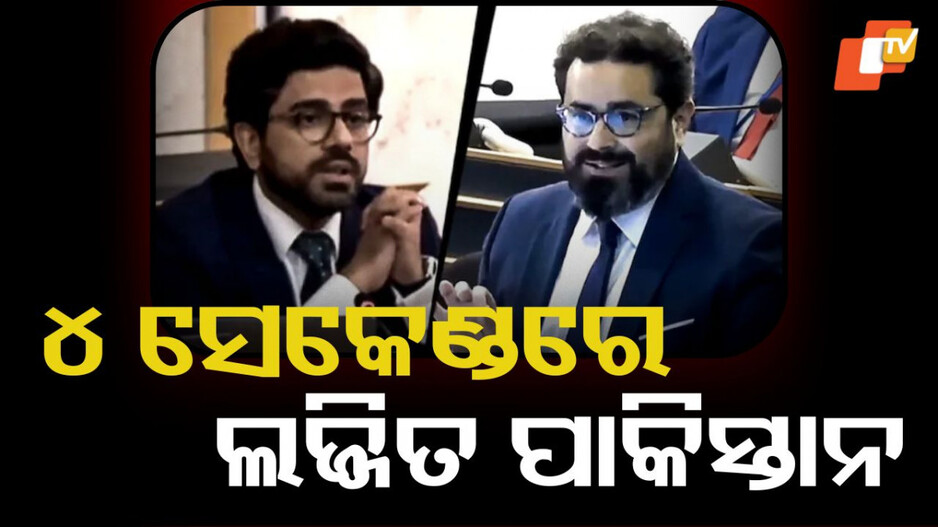 Pak's Worst 4 Seconds: ମାତ୍ର ୪ ସେକେଣ୍ଡରେ ପାକିସ୍ତାନକୁ ଧୋଇ ଦେଲେ ମାନବାଧିକାର ଓକିଲ, ଲାଜରେ ମୁହଁ ନାଲି ପଡିଗଲା