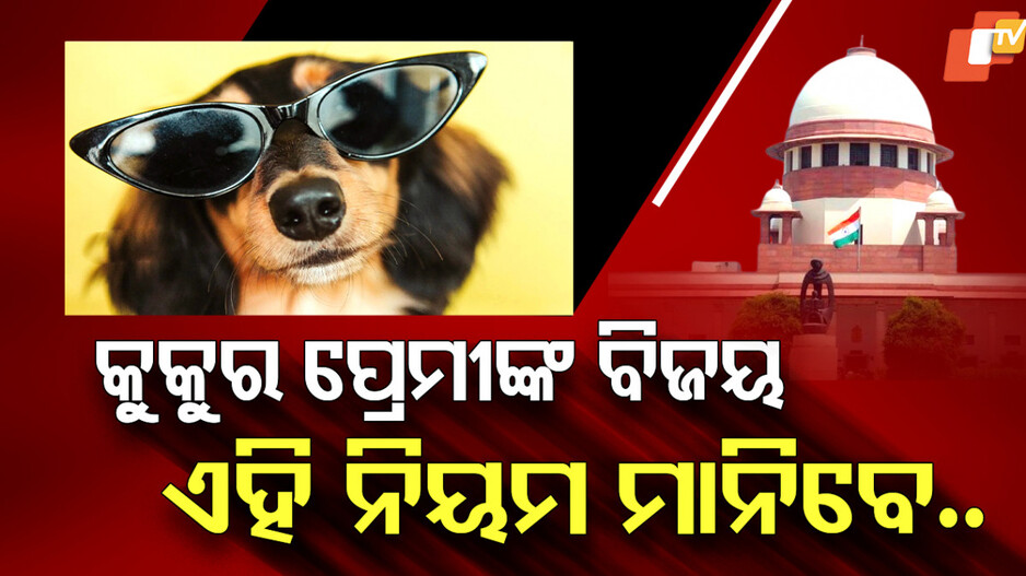 New Rules: ବୁଲା କୁକରୁରଙ୍କ ପାଇଁ ନୂଆ ନିୟମ, ବନ୍ଧ୍ୟାକରଣ ପରେ ପୁଣି ଛାଡିଦିଆଯିବ