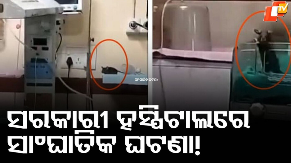 Indore: ଶିଶୁ ଚିକିତ୍ସା ସର୍ଜରୀ ବିଭାଗରେ ମୂଷା ଆତଙ୍କ, ଜଣେ ନବଜାତଙ୍କ ମୃତ୍ୟୁ...କିନ୍ତୁ ଡାକ୍ତର କହିଲେ