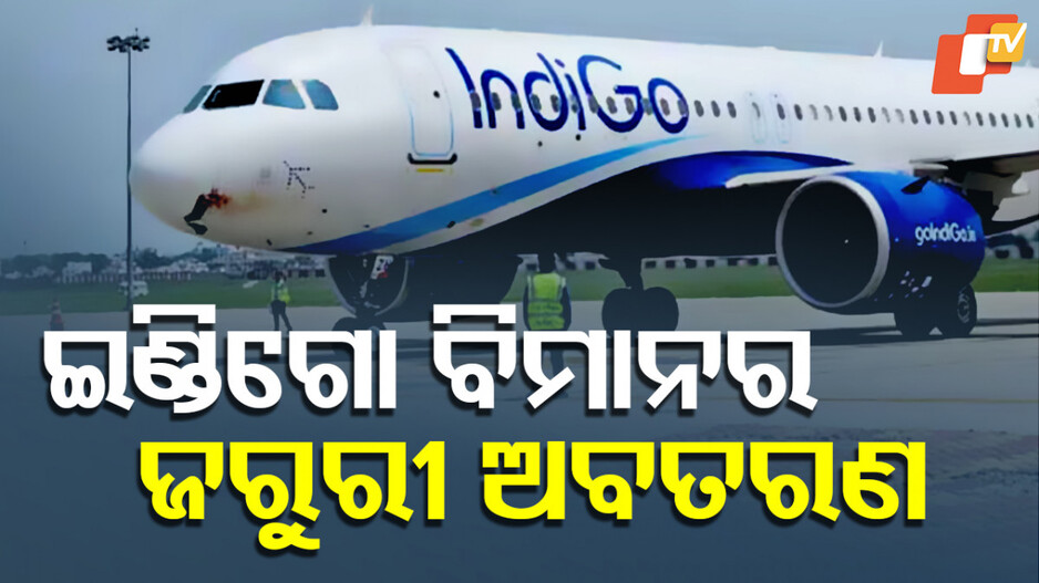 Indigo AirPlane Returned: ଓହ୍ଲାଇ ପାରିଲାନି ବିମାନ, ପୁଣି ଥରେ ଦିଲ୍ଳୀ ଫେରିଲା ଇଣ୍ଡିଗୋ ଏୟାରବସ