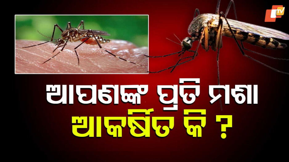 Carboxylic Acid: ଆପଣଙ୍କ ଶରୀରରେ ଅଛି କି କାର୍ବୋକ୍ସିଲିକ ଏସିଡ୍‌? ଜାଣନ୍ତୁ ମଶା ସହ କ’ଣ ରହିଛି ସମ୍ପର୍କ