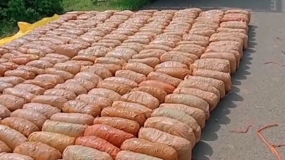 Ganja smuggling racket busted in Sonpeur; over 5 quintals of contraband seized, 4 arrested