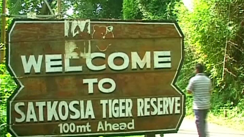 Interstate relocation: Is Odisha’s Satkosia ready to revive its tiger population?