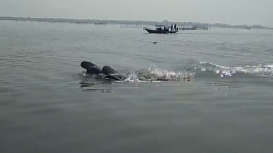 Dolphin census begins in Odisha's Bhitarkanika and Gahirmatha; know its significance, expectations