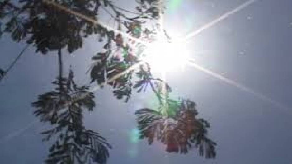 IMD issues yellow warning for heat wave in Odisha districts: check latest forecast