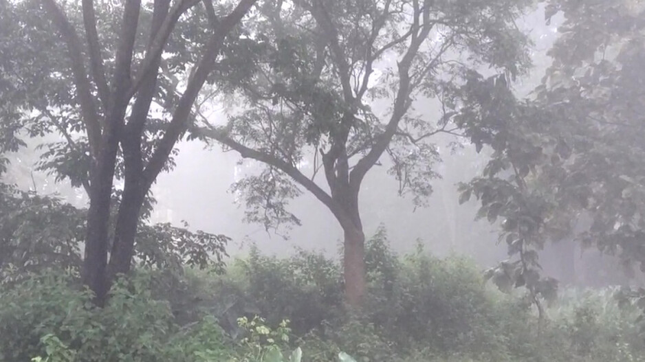 IMD issues yellow warning for heavy rainfall, dense fog in Odisha districts
