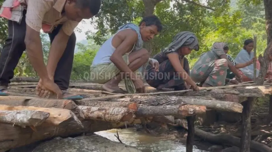 Fed up with govt 'apathy', Odisha villagers build temporary wooden bridge on their own
