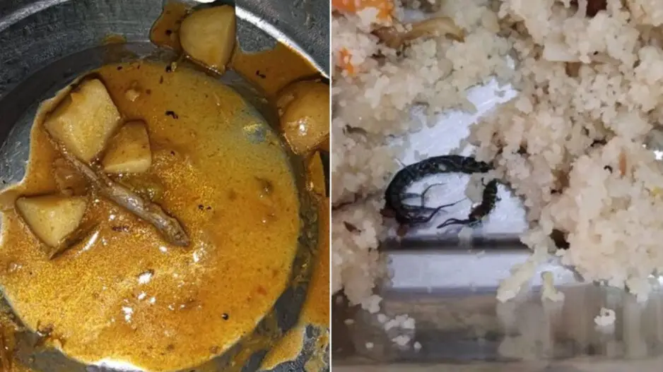 'Lizard & scorpion found in hostel food' in Bhubaneswar, inmates irked