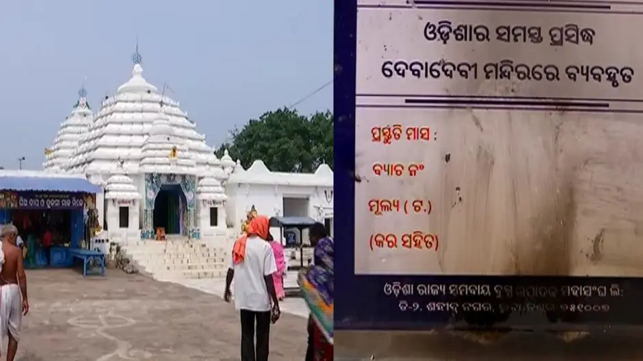 Amid Tirupati ghee row, Baldev Jew temple servitors in Odisha express concerns over OMFED ghee quality