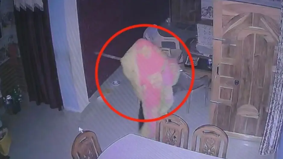 Dressed as women in saree, robbers loot teacher in Odisha