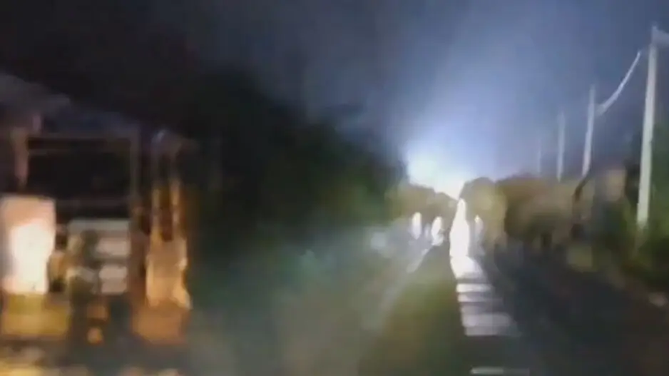 Jumbo batters elephant squad member to death during drive away operation in Odisha