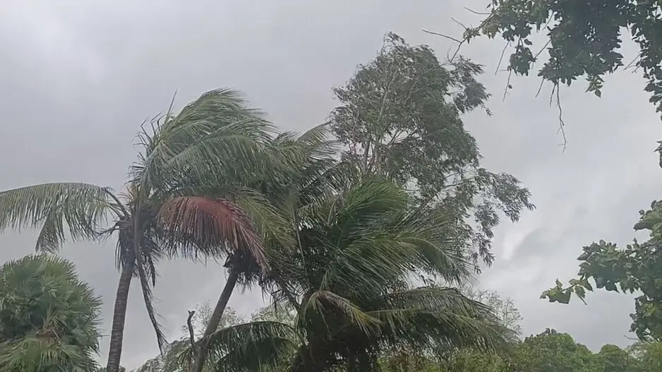 Cyclone Dana: '1,600 babies born to evacuated women in Odisha; 5.84 lakh people evacuated'