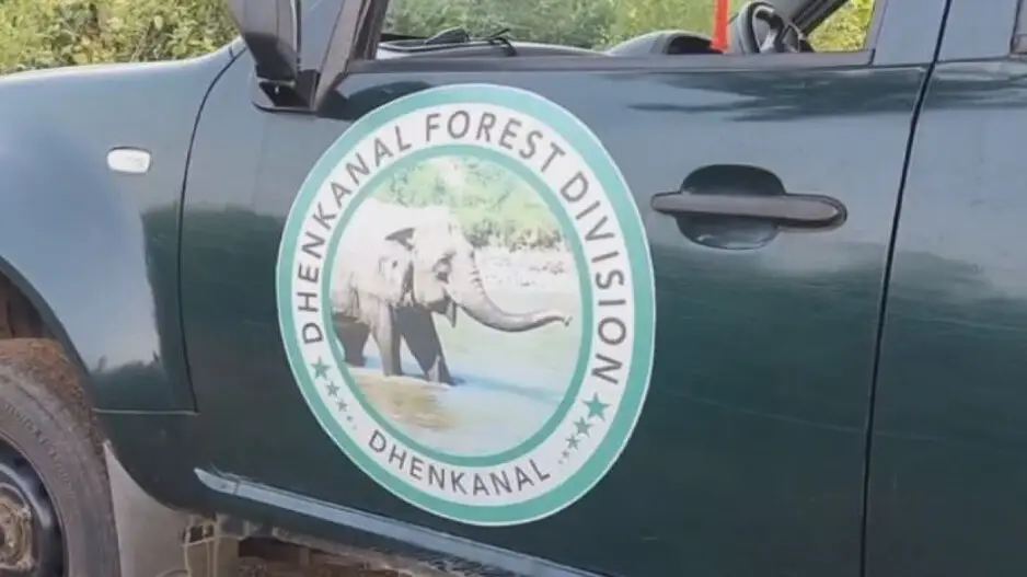 Elephant shot with bow and arrow, battling for life in Cuttack