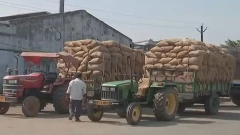 Paddy procurement to start from Bargarh on November 21