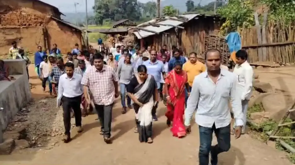 Mango kernel gruel deaths: RDC begins probe