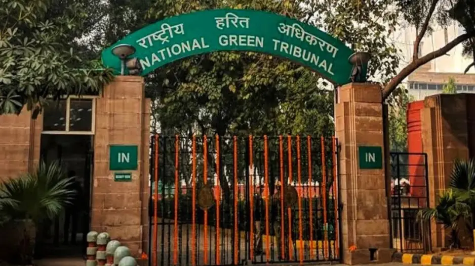 Forest encroachment in Malkangiri: National Green Tribunal takes suo motu cognizance