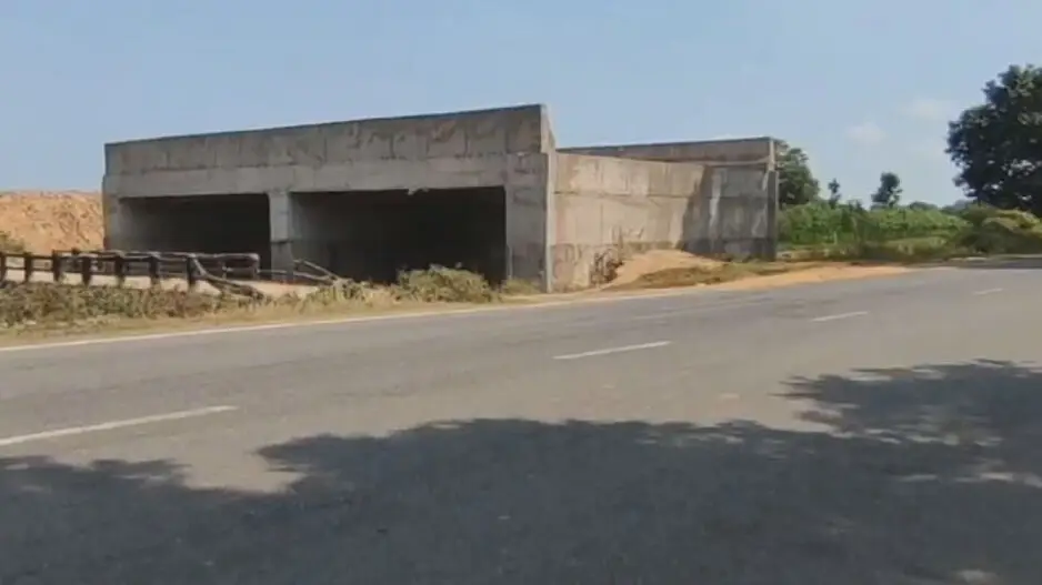 Bridge to nowhere! 12 bridges on 9-km-long canal lie unused in Odisha’s Jajpur