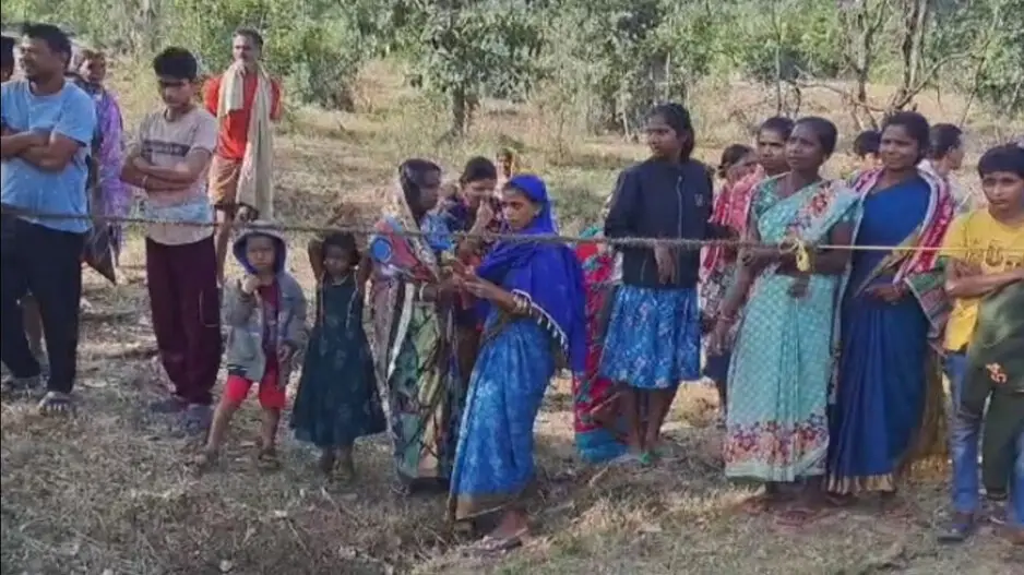 Death of 3 elephants due to electrocution in Odisha: 3 Forest dept officials suspended, 3 held
