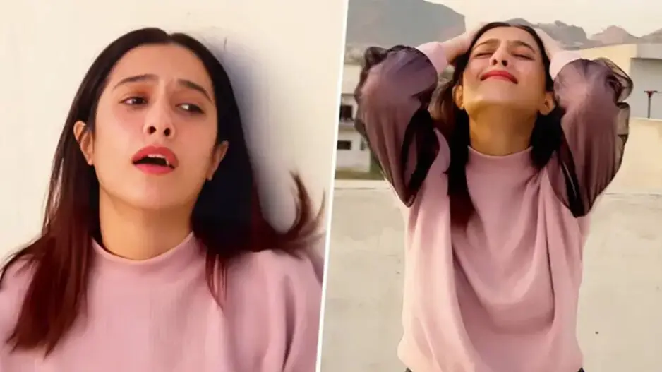 Pakistani girl in love with Indian man; netizens say 'make Gadar 3' in viral video