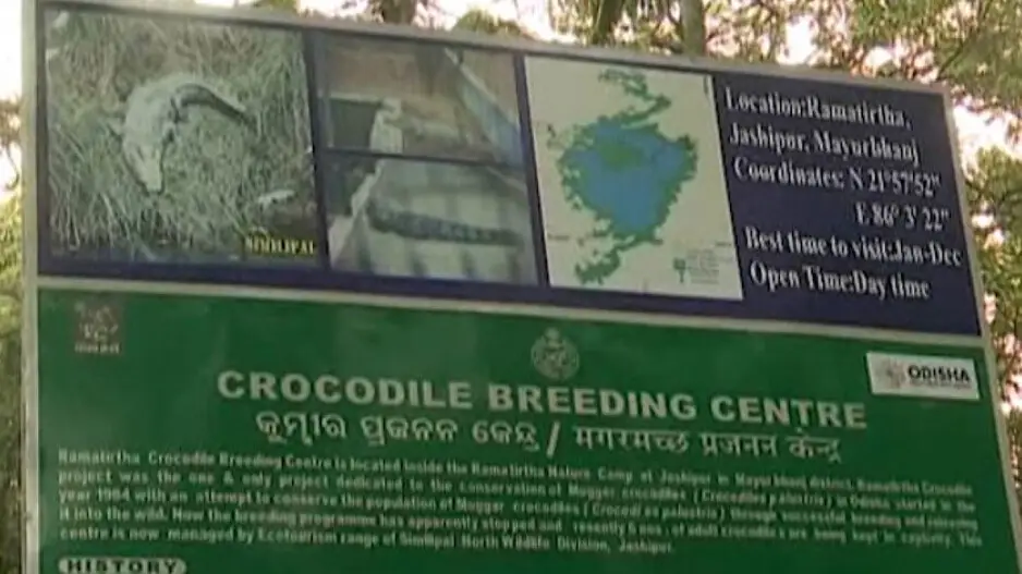 Ramathirtha Crocodile Breeding Center in Mayurbhanj on verge of closure, revival uncertain