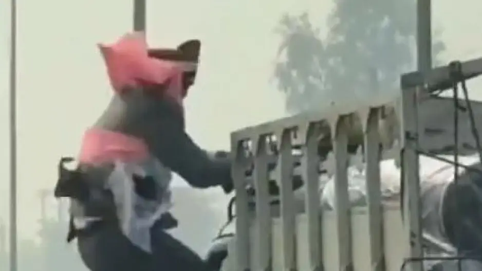 Video of the year! UP groom chases driver for pinching a note from his currency tucked garland