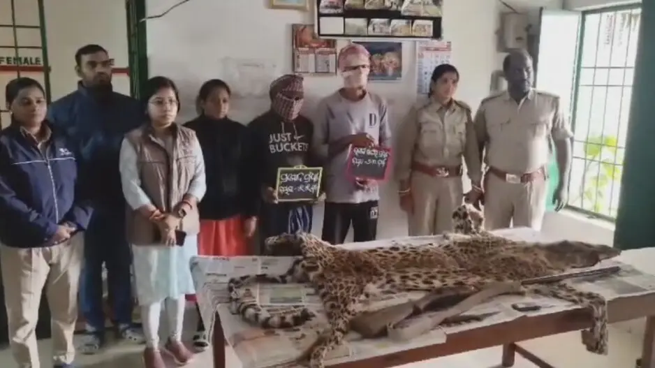 Leopard skin seized in Odisha, two wildlife smugglers arrested