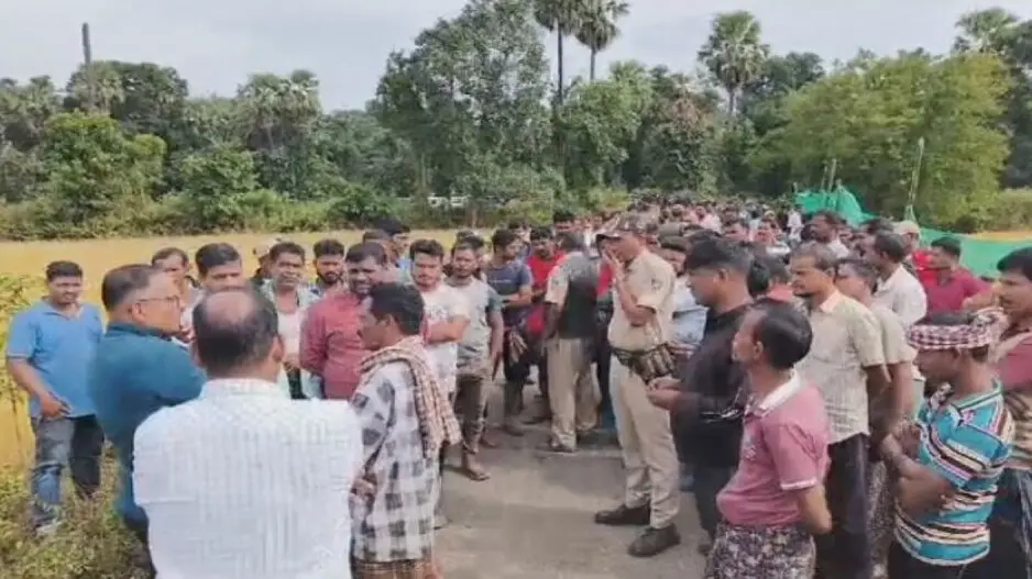 Wild jumbo dies in fight with another tusker in Odisha