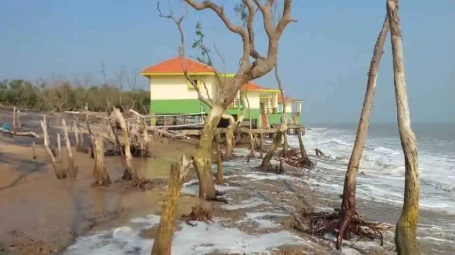 Online booking for cyclone-affected Habalikhati Nature Camp in Odisha starts; concerns over tourists’ safety