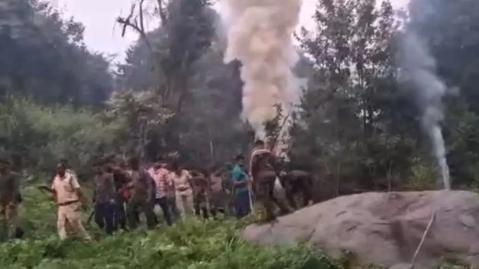 Illegal cannabis cultivation worth Rs 9 Cr destroyed inside Odisha’s wildlife sanctuary