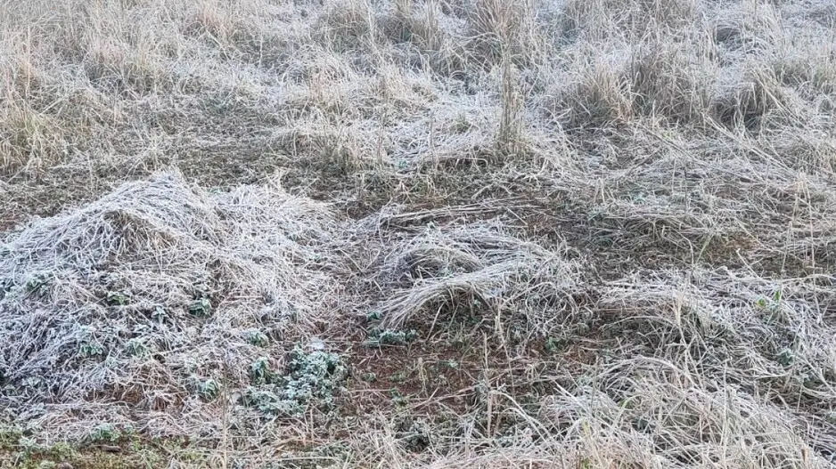 Similipal shivers in cold wave as temperature drops to 3 degree Celsius