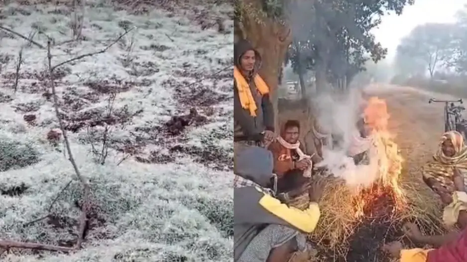 Odisha cold wave: IMD issues yellow warning as several districts continue to freeze