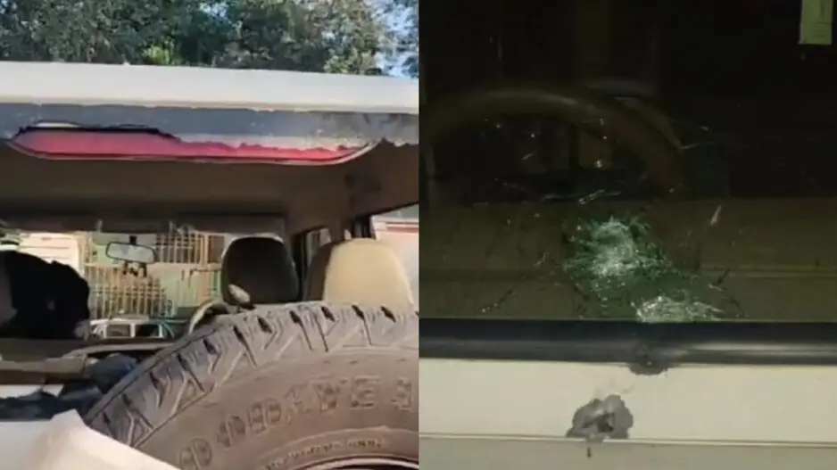 'Pushpa 2 impact': Elephant ivory smugglers open fire at forest dept team in Odisha