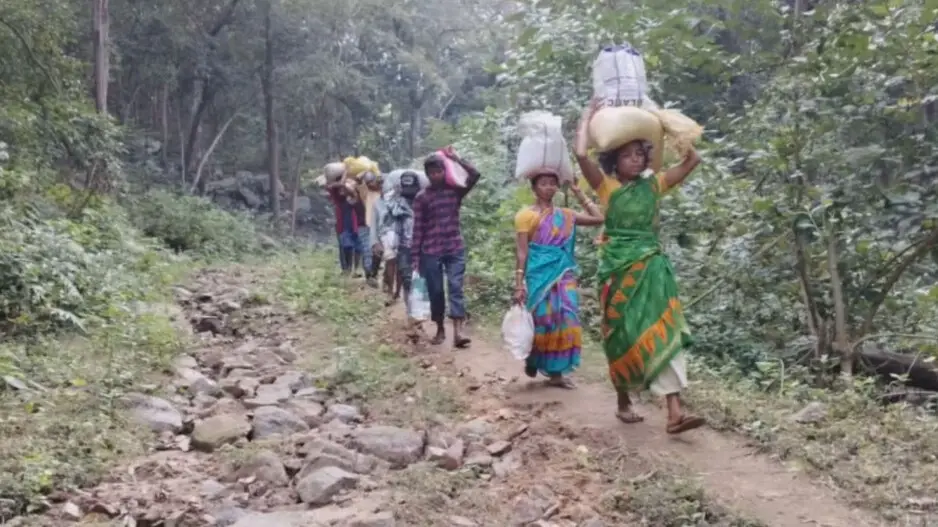Lack of road forces Odisha’s Kandhamal villagers to trek hilly terrains to get PDS rice