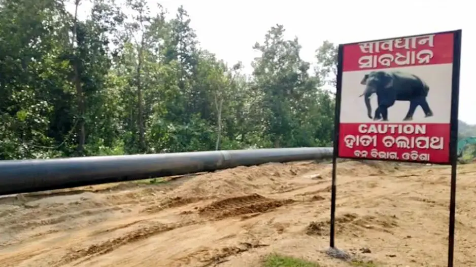 Elephant corridor: Laying of pipeline near Atei reserve forest raises concern