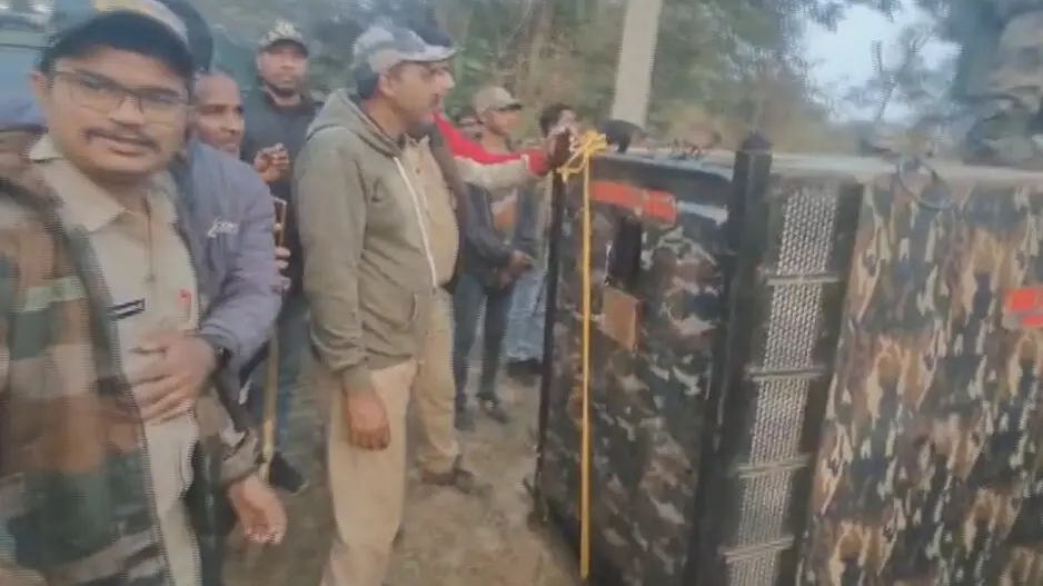 Tigress Zeenat tranquilized in West Bengal forest, to be brought to Simlipal soon