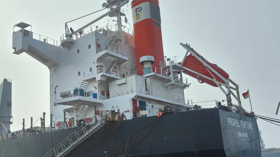 Orissa HC Detains Singaporean Cargo Ship MV Propel Fortune Over Unpaid Dues at Paradip Port