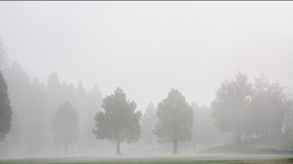 IMD issues yellow warning for dense to very dense fog in 4 Odisha districts