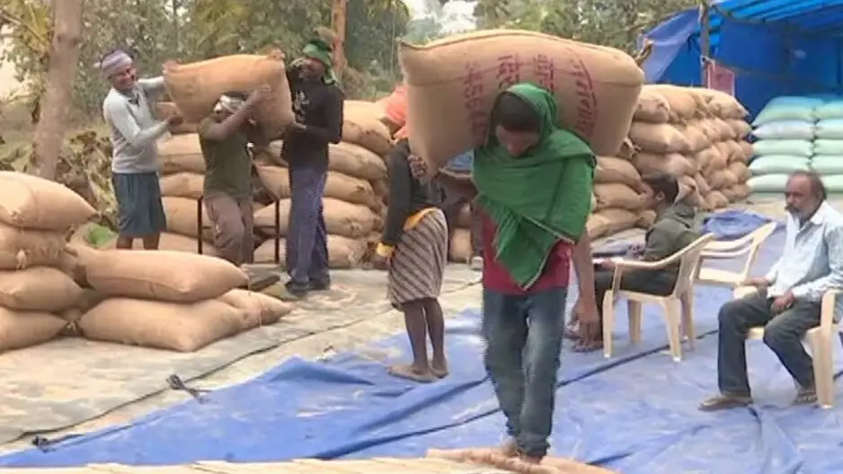 ‘katni-chhatni’ woes continue in Odisha mandis