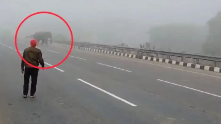 Elephants disrupt traffic on National Highway 53 in Odisha’s Dhenkanal