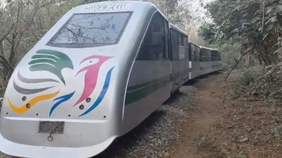 Toy train at Nandankanan in Bhubaneswar develops technical snag, passengers safe