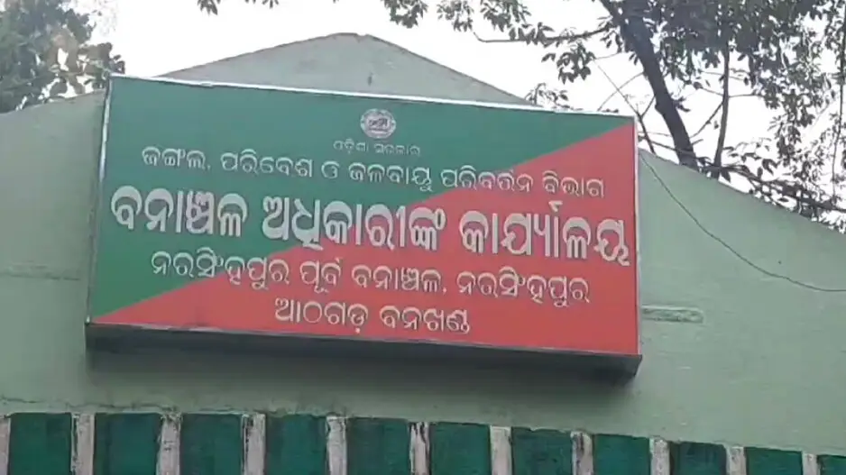 2 tuskers found dead in Odisha, probe launched