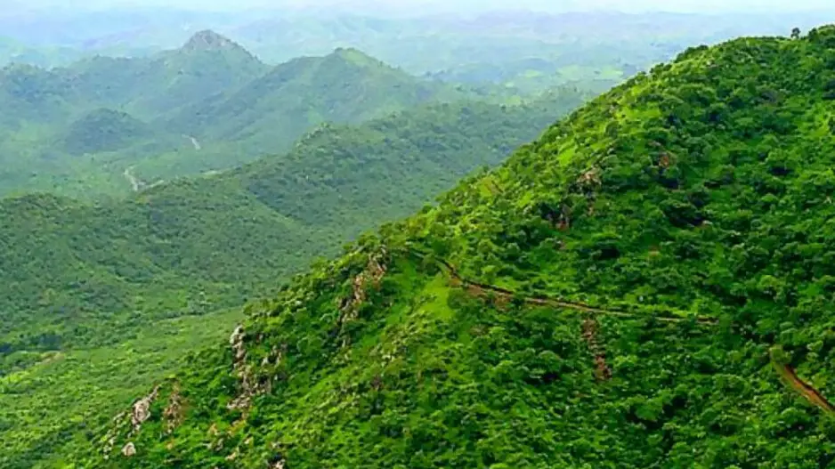 Why Odisha MP is seeking protection for Gandhamardan Hills, writes to Amit Shah