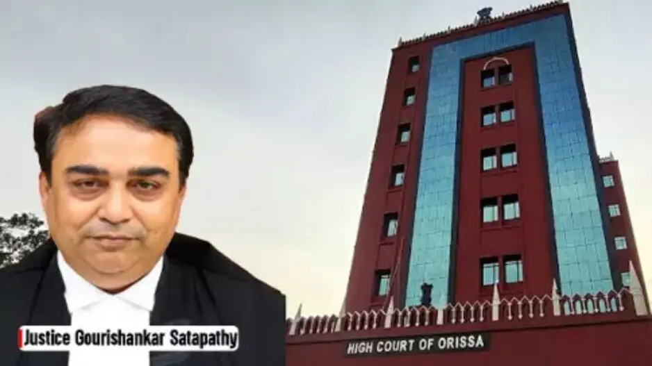Educated wife can’t claim maintenance...: Orissa HC's ruling garners praise amid rising divorce cases