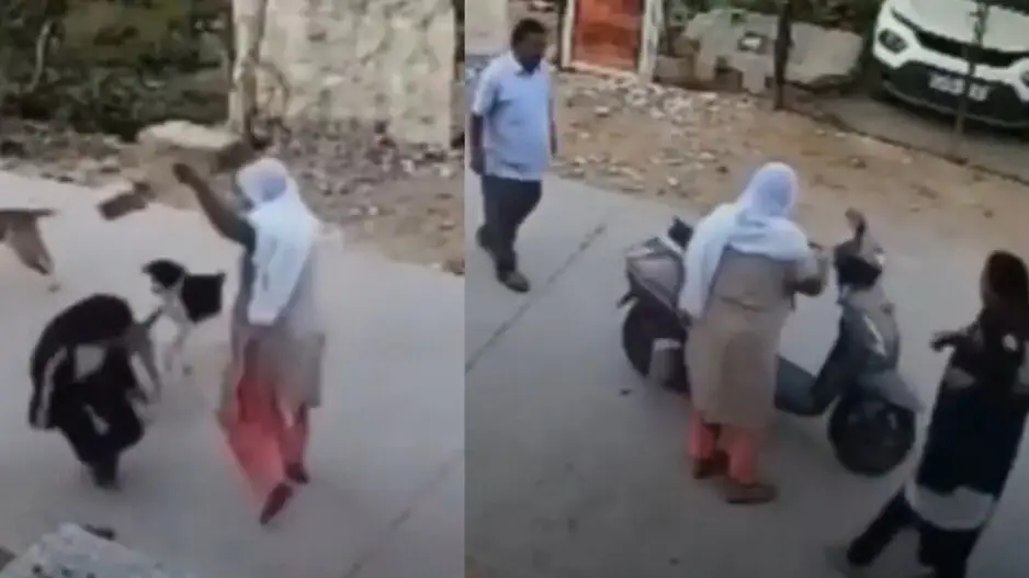 'Animal lovers' attack woman after she saves college girl from pack of stray dogs, watch
