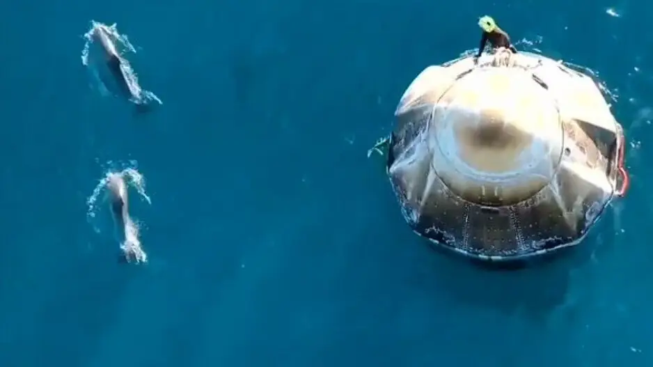Unplanned Welcome: Dolphins greet astronauts Sunita Williams & crew after extended space mission