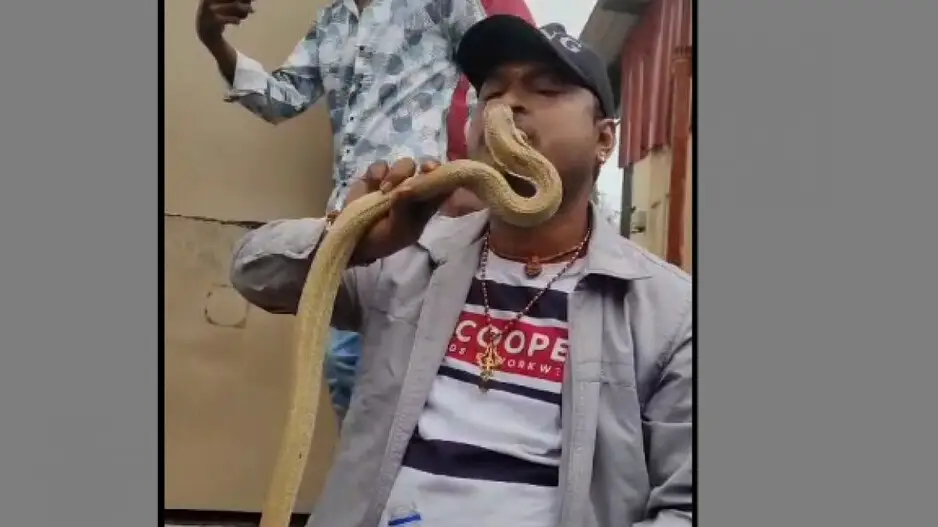 Odisha youth's dangerous stunt with cobra goes viral; experts warn against life-threatening acts