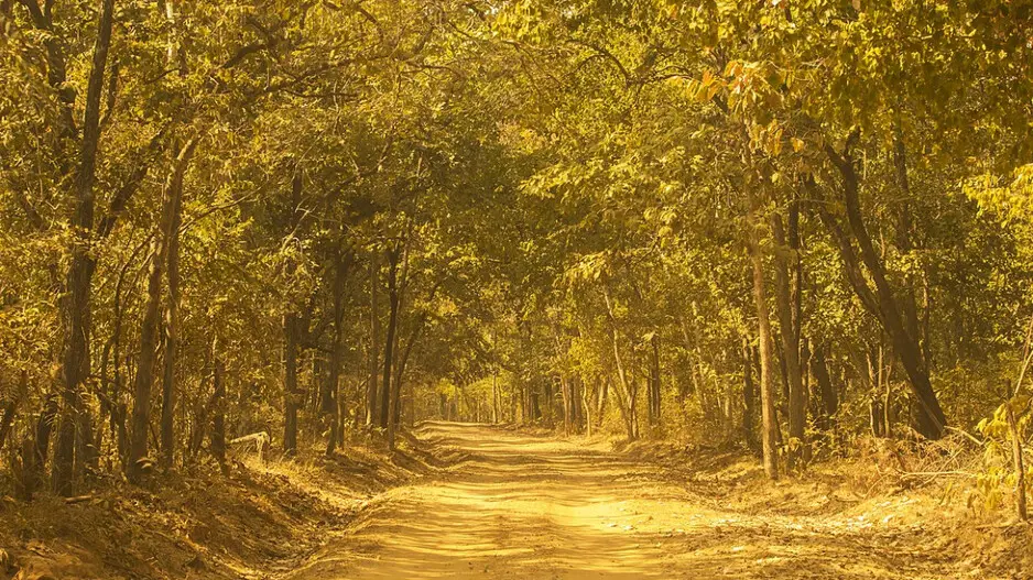 This wildlife sanctuary in Odisha is deeply connected with Veer Surendra Sai’s Indian freedom movement