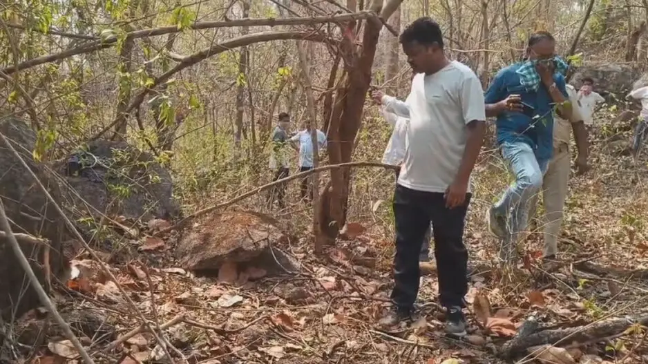 Skeleton of woman found in Malkangiri forest; rape and murder suspected