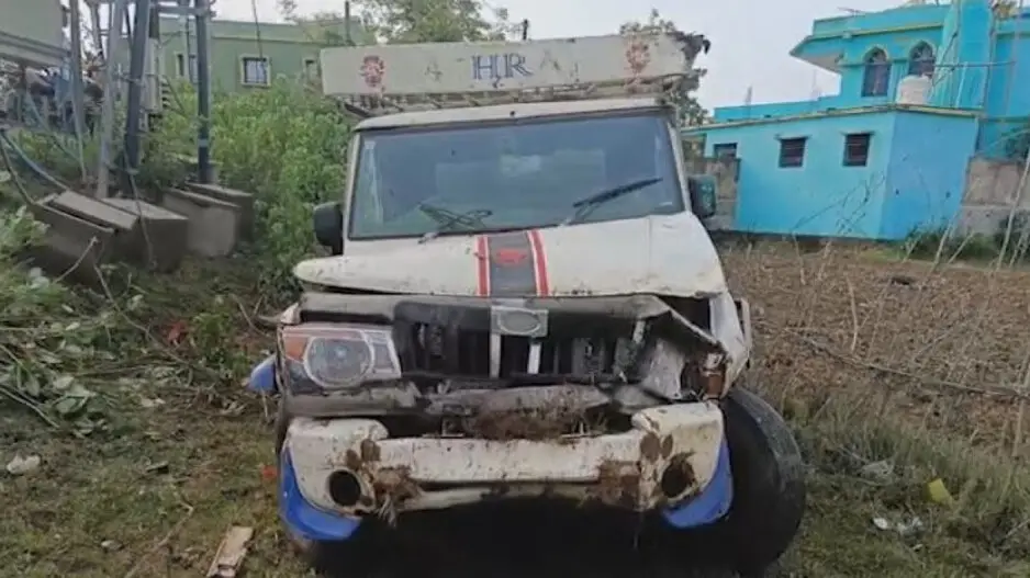 Cattle smugglers' vehicle crashes into electric pole, 30 cows rescued