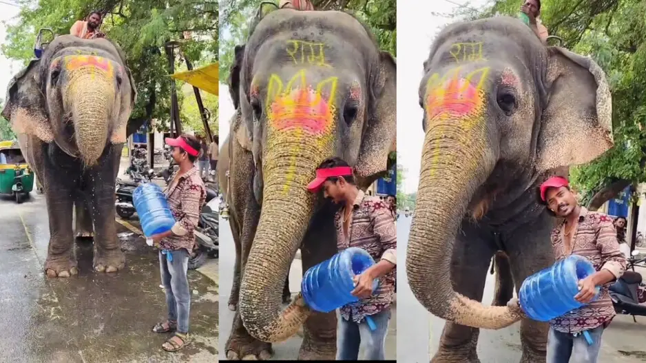 Humanity still alive! Youth rushes to thirsty elephant with water jar, watch